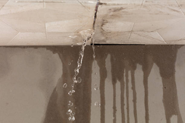 Professional Flood Damage Cleanup technician working in Apopka, FL